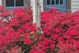 104 Windsor Ave, Centreville, MD 21617 - Photo 21