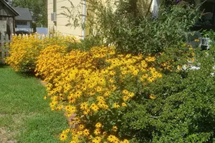 104 Windsor Ave, Centreville, MD 21617 - Photo 5