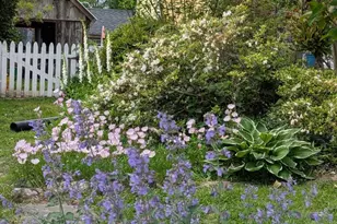 104 Windsor Ave, Centreville, MD 21617 - Photo 67