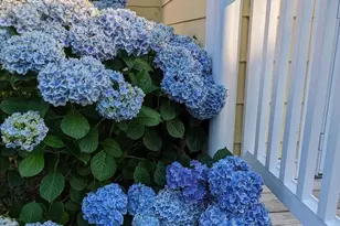 104 Windsor Ave, Centreville, MD 21617 - Photo 55