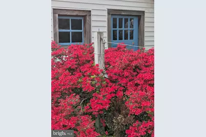 104 Windsor Avenue, Centreville, MD 21617 - Photo 85