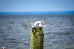 1109 Grasonville Cemetery Rd, Grasonville, MD 21638 - Photo 39