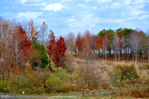 170 Harrier Wy, Chester, MD 21619 - Photo 75