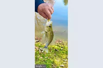 324 Flat Iron Square Road, Church Hill, MD 21623 - Photo 47