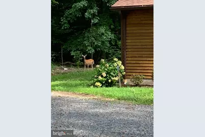 241 White Marsh Road, Centreville, MD 21617 - Photo 43