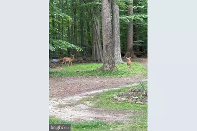 241 White Marsh Road, Centreville, MD 21617 - Photo 45