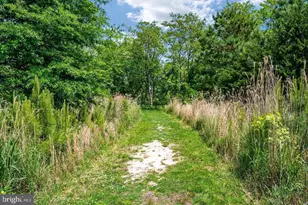 230 Switchgrass Wy, Chester, MD 21619 - Photo 59