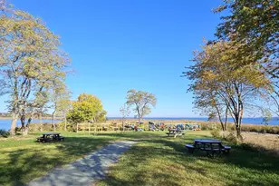 230 Switchgrass Wy, Chester, MD 21619 - Photo 57