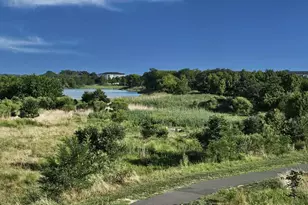 230 Switchgrass Wy, Chester, MD 21619 - Photo 65