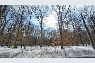 262 White Marsh Road, Centreville, MD 21617 - Photo 1