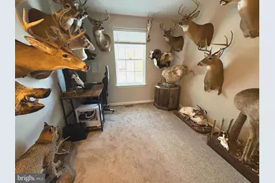 148 Step Road, Chestertown, MD 21620 - Photo 37