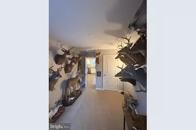 148 Step Road, Chestertown, MD 21620 - Photo 39