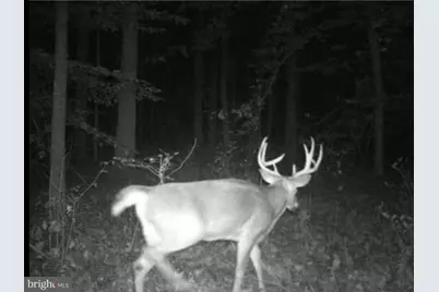 Big Woods Road, Church Hill, MD 21623 - Photo 19