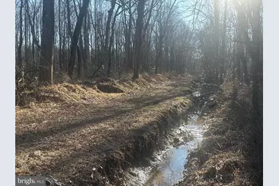 Big Woods Road, Church Hill, MD 21623 - Photo 3