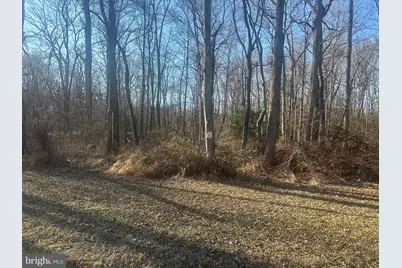 Big Woods Road, Church Hill, MD 21623 - Photo 17