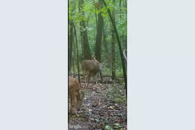 Big Woods Road, Church Hill, MD 21623 - Photo 5