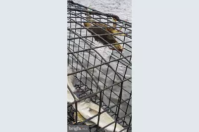 816 Chester River Drive, Grasonville, MD 21638 - Photo 13