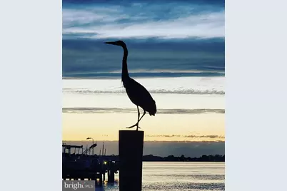 816 Chester River Drive, Grasonville, MD 21638 - Photo 15