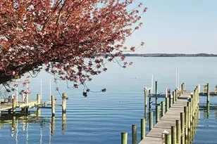 816 Chester River Dr, Grasonville, MD 21638 - Photo 1