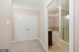 351 Wye Rd, Queenstown, MD 21658 - Photo 79