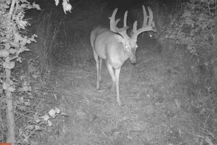 1301 Bridgetown Rd, Henderson, MD 21640 - Photo 29