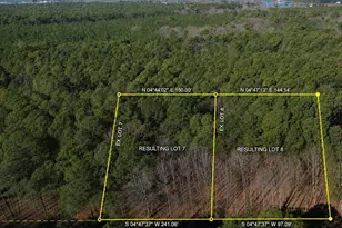138 Olive Branch Rd, Stevensville, MD 21666 - Photo 1