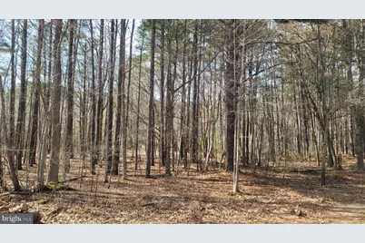 Forest Road, Grasonville, MD 21638 - Photo 1