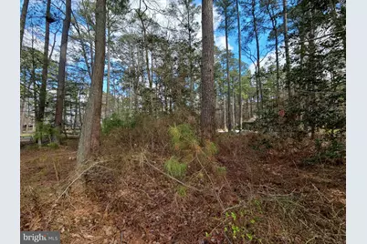 Romancoke Road, Stevensville, MD 21666 - Photo 7