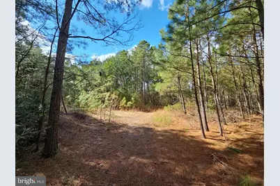 Romancoke Road, Stevensville, MD 21666 - Photo 1