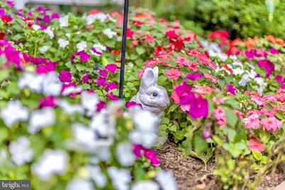 321 Front Street, Crumpton, MD 21628 - Photo 51