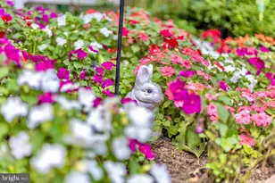 321 Front St, Crumpton, MD 21628 - Photo 51