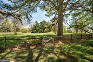 111 Holly Ct, Stevensville, MD 21666 - Photo 53