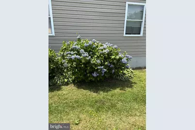 317 Virginia Road, Stevensville, MD 21666 - Photo 9