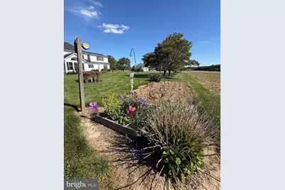 306 Old Line Drive, Centreville, MD 21617 - Photo 19