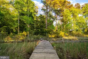 162 Kirwans Landing Ln, Chester, MD 21619 - Photo 87