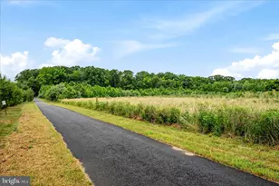 364 Moorings Cir, Stevensville, MD 21666 - Photo 43