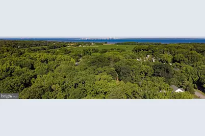 813 Dixon Drive, Stevensville, MD 21666 - Photo 65