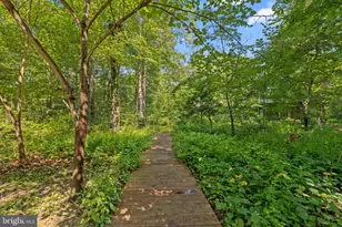225 Batts Neck Rd, Stevensville, MD 21666 - Photo 43