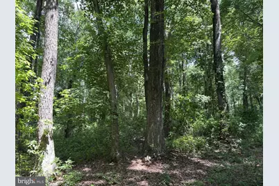 Peters Corner Road, Sudlersville, MD 21668 - Photo 3