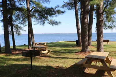 342 Wicomico Road, Stevensville, MD 21666 - Photo 49