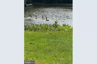 220 Kirbys Landing Road, Millington, MD 21651 - Photo 31