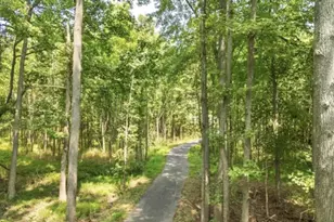 121 Merlin Dr, Chester, MD 21619 - Photo 77