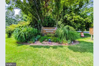 102 Maple Road, Stevensville, MD 21666 - Photo 53