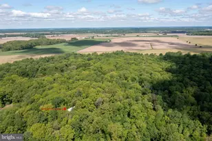 620 Baxter Rd, Sudlersville, MD 21668 - Photo 49