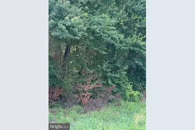 Parcel 38 Goldsboro Road, Barclay, MD 21607 - Photo 1