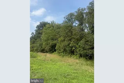 Parcel 73 Barclay Road, Barclay, MD 21607 - Photo 1