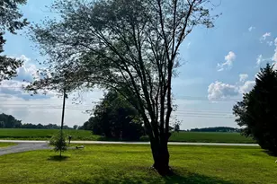 1010 Love Point Rd, Stevensville, MD 21666 - Photo 17