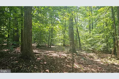 405 Rings End Road, Millington, MD 21651 - Photo 31