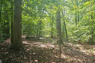 405 Rings End Rd, Millington, MD 21651 - Photo 31