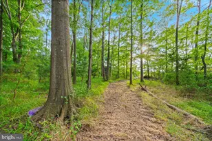 135 Vestfield Rd, Stevensville, MD 21666 - Photo 9